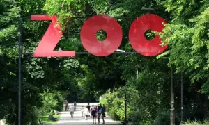 Wejście do największego zoo w Polsce. Ludzie spacerują alejką wśród zieleni.