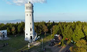 Wielka sowa, wieża widokowa na szczycie góry, otoczona lasem.