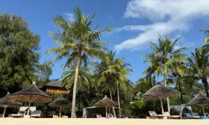 Rajska plaża na Zanzibarze z palmami, leżakami i słomianymi parasolami. Idealne miejsce na wymarzone wakacje.