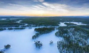 Zimowy krajobraz z zamarzniętym jeziorem, które jest największym jeziorem w Europie. Otoczone lasem sosnowym, pokryte śniegiem.