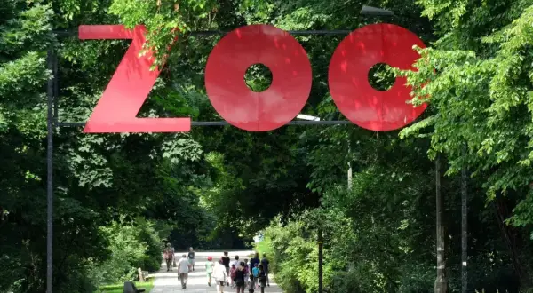 Wejście do największego zoo w Polsce. Ludzie spacerują alejką wśród zieleni.