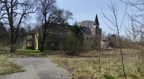 Opuszczony pałac w Torzymiu, z charakterystyczną wieżą, otoczony dziką roślinnością.