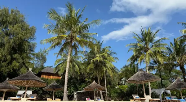 Rajska plaża na Zanzibarze z palmami, leżakami i słomianymi parasolami. Idealne miejsce na wymarzone wakacje.