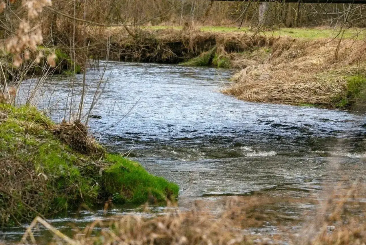 Spokojna rzeka Ner płynie przez zarośla, tworząc malowniczy krajobraz.