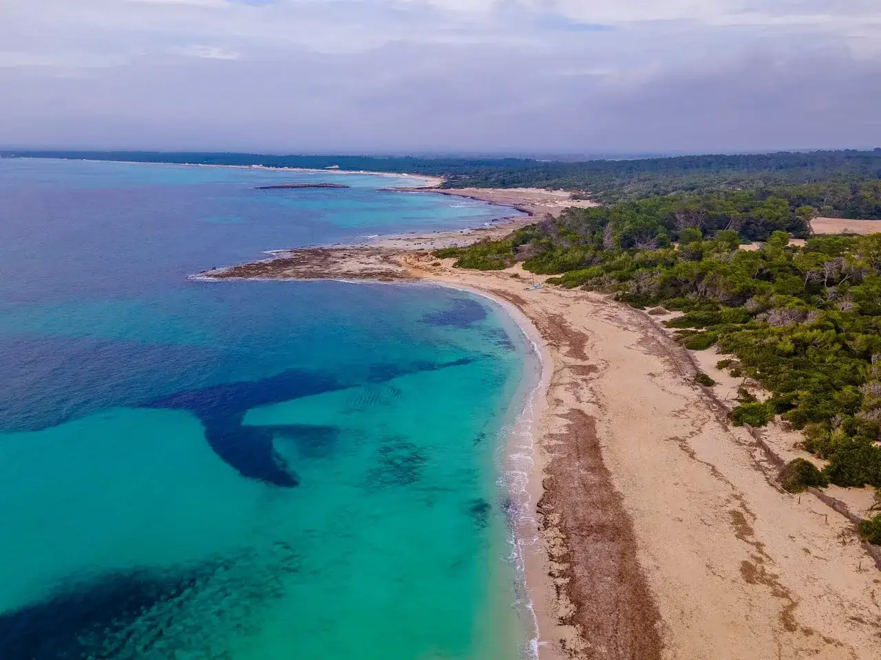 Piękna plaża Es Trenc z turkusową wodą i piaszczystym brzegiem, otoczona zielonymi drzewami.
