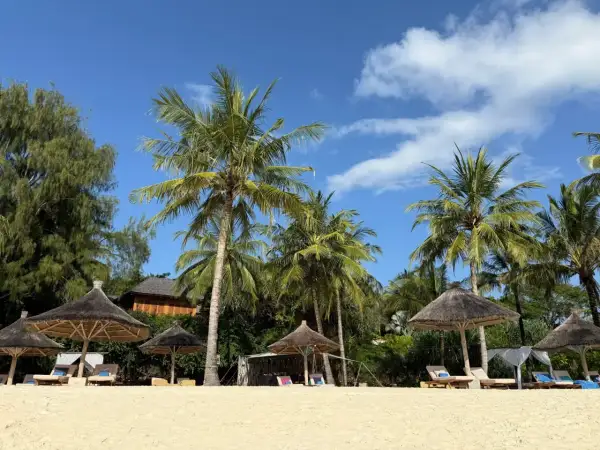 Rajska plaża na Zanzibarze z palmami, leżakami i słomianymi parasolami. Idealne miejsce na wymarzone wakacje.